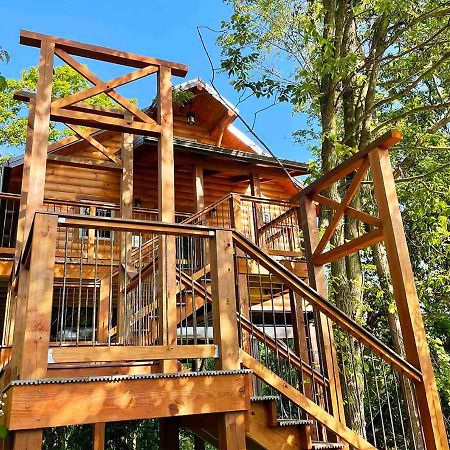 Cricket Hill Treehouse By Amish Country Lodging 米勒斯堡 外观 照片