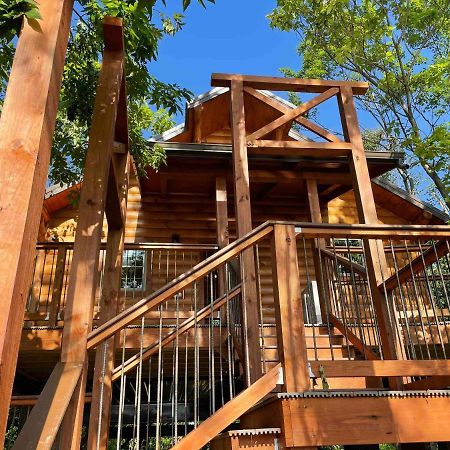Cricket Hill Treehouse By Amish Country Lodging 米勒斯堡 外观 照片